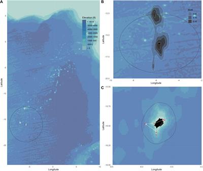 Yellowfin Tuna Behavioural Ecology and Catchability in the South Atlantic: The Right Place at the Right Time (and Depth)